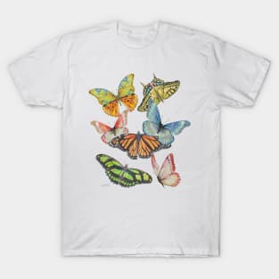 Butterfly Gathering B2 T-Shirt